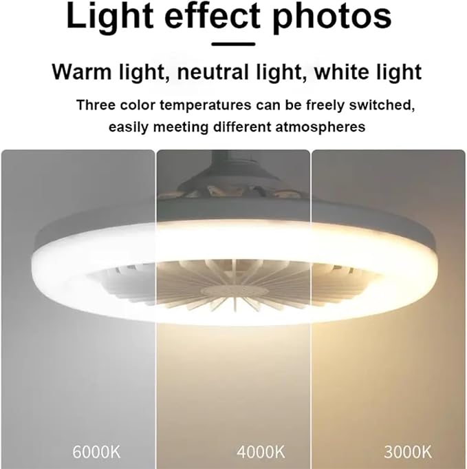 “Combo Frescura Total: Techo + Escritorio”